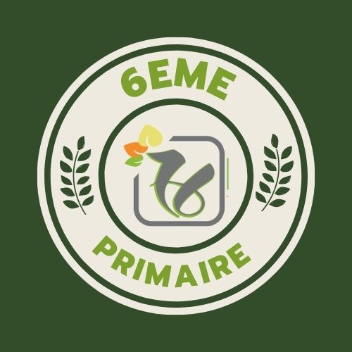 Protégé : 6ème Primaire
