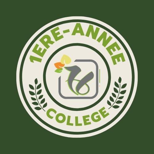 Protégé : 1ère année collège