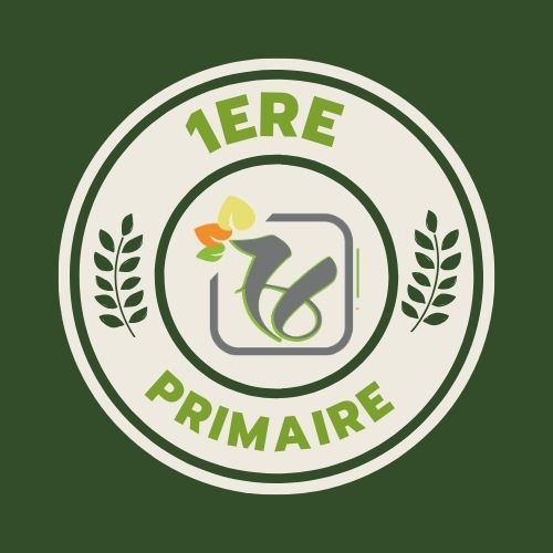 Protégé : 1ère Primaire